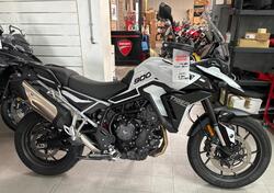 Triumph Tiger 900 GT Pro (2024) usata