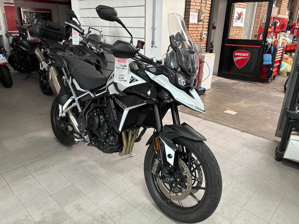 Triumph Tiger 900 GT Pro (2024) (2)