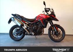 Triumph Tiger 900 GT Pro (2024) usata