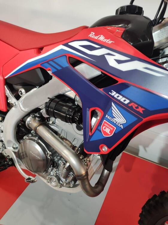 Honda CRF 300 RX Enduro (2024) (2)