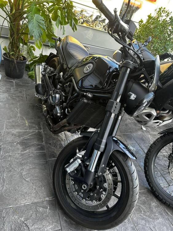 Benelli Leoncino 500 ABS (2017 - 20) (2)