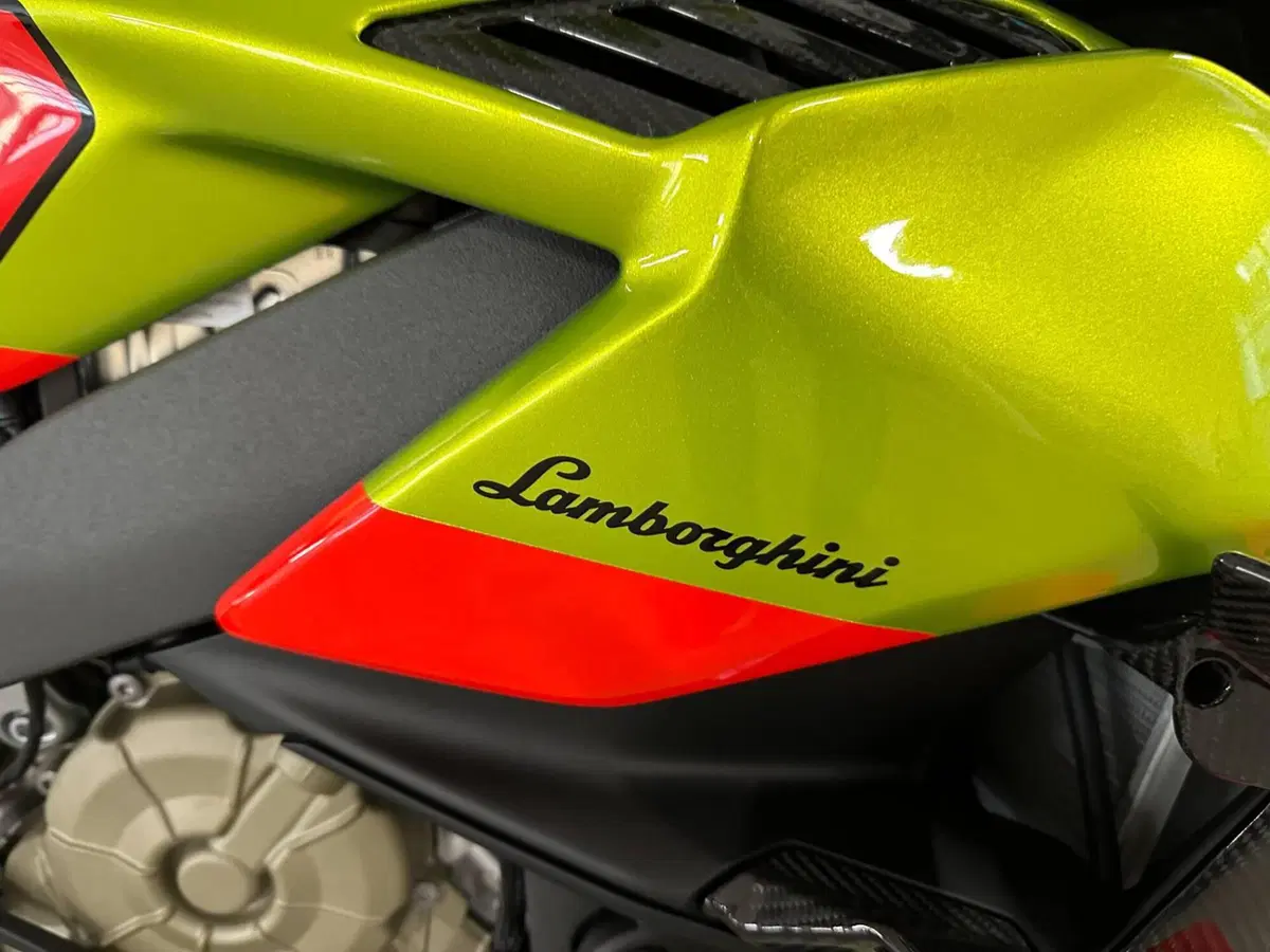 Ducati Streetfighter V4 Lamborghini (2023 - 24) (10)