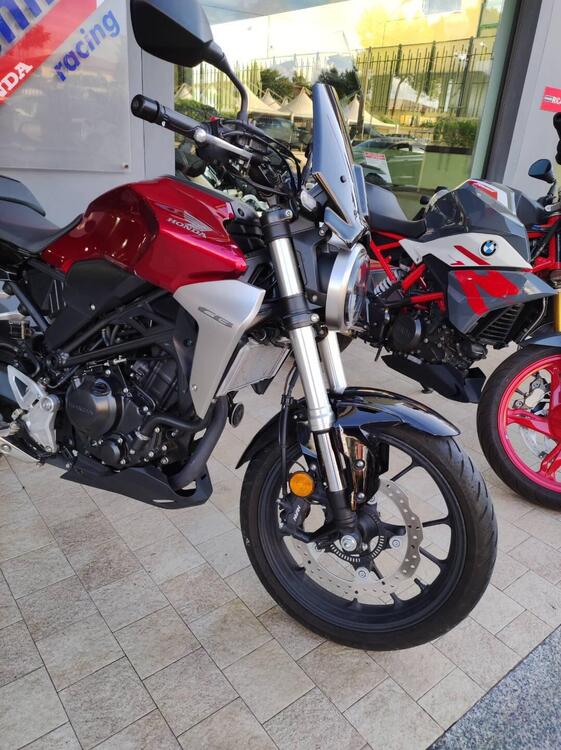 Honda CB 300 R (2018 - 19) (2)