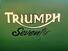 Triumph Scrambler (2006 - 17) (11)