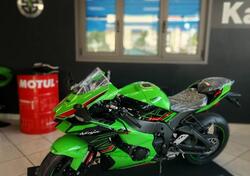 Kawasaki Ninja 1000 ZX-10R (2021 - 25) usata