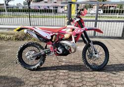 Betamotor RR 300 2T Enduro (2019) usata