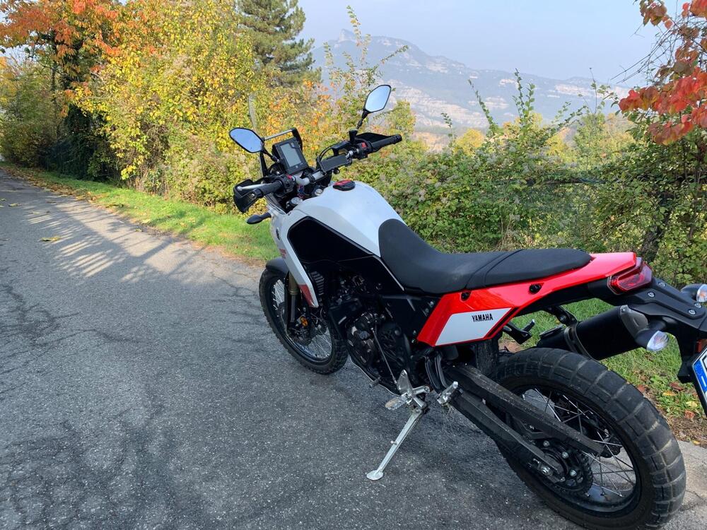 Yamaha Ténéré 700 (2019 - 20) (5)