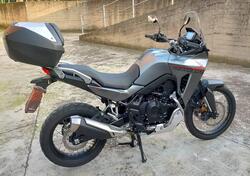 Honda Transalp XL750 Urban (2023 - 24) usata