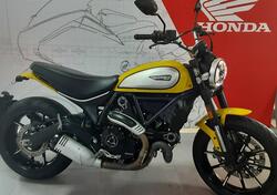 Ducati Scrambler 800 Icon (2017 - 20) usata