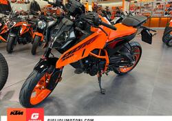 KTM 390 Duke (2024) usata