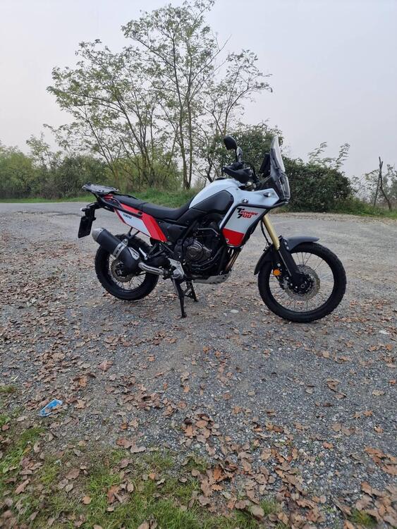 Yamaha Ténéré 700 (2019 - 20) (2)