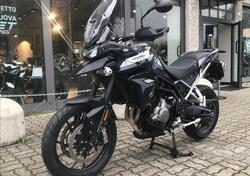 Triumph Tiger 900 GT Pro (2020 - 23) usata