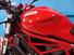 Ducati Monster 797 (2017 - 18) (9)