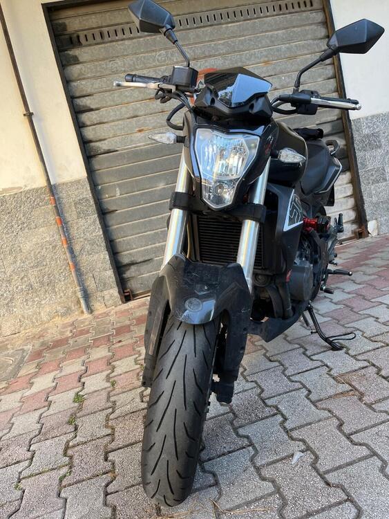 Benelli BN 302 (2014 - 16) (3)