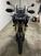 Triumph Tiger 1200 Rally Pro (2022 - 23) (6)