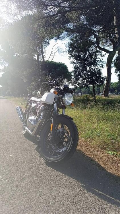 Royal Enfield Continental GT 650 (2019 - 20) (3)