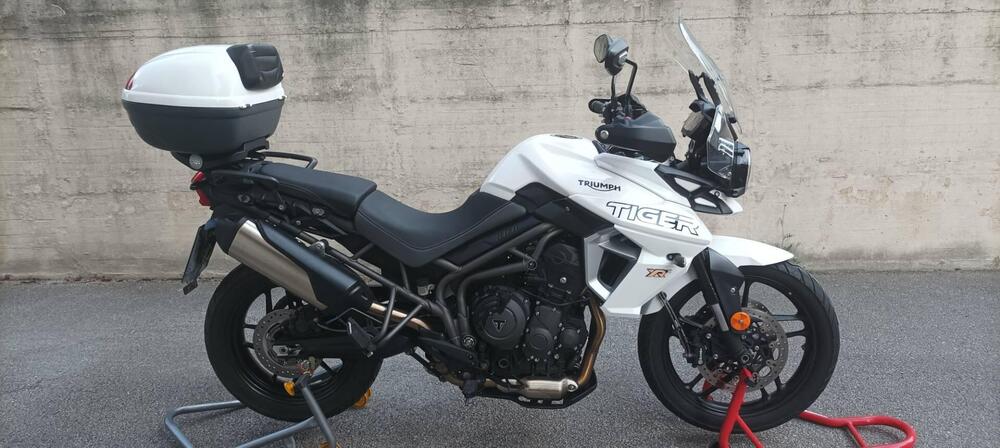 Triumph Tiger 800 XRx (2018 - 20) (2)