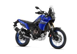 Yamaha Ténéré 700 (2022 - 24) usata