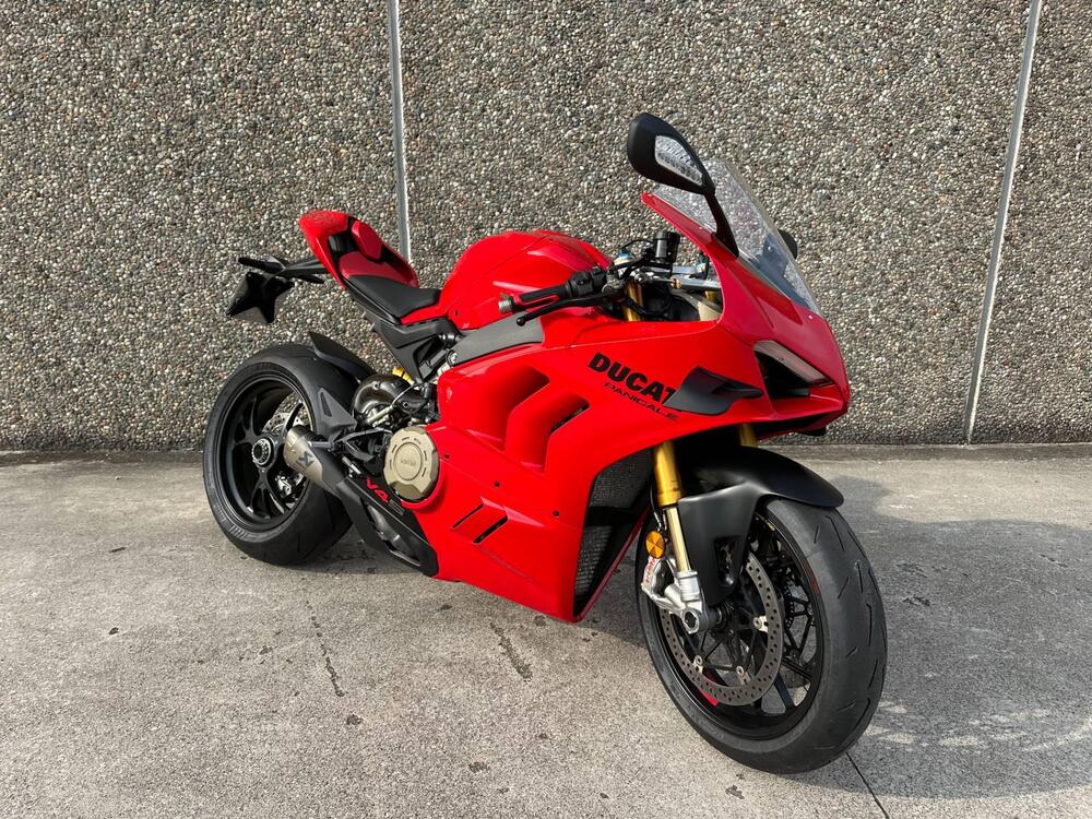 Ducati Panigale V4 (2022 - 24) (3)