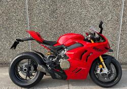 Ducati Panigale V4 (2022 - 24) usata