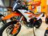 KTM 890 Adventure R (2023 - 24) (12)