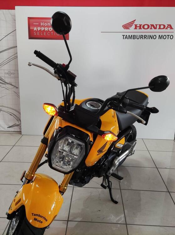 Honda MSX 125 Grom (2021 - 25)