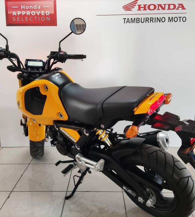 Honda MSX 125 Grom (2021 - 25) (5)