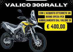 Voge Valico 300 Rally (2022 - 24) nuova