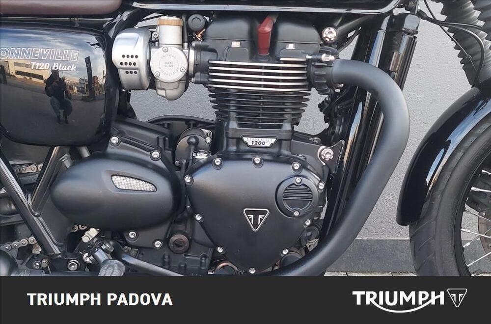 Triumph Bonneville T120 (2016 - 20) (3)