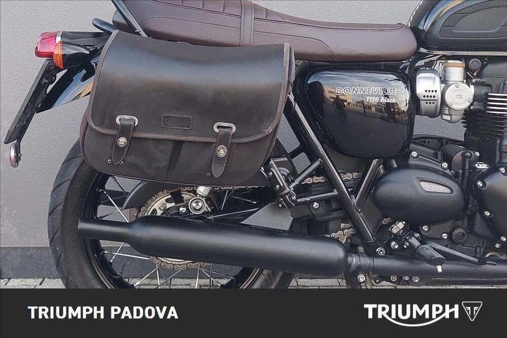 Triumph Bonneville T120 (2016 - 20) (2)