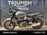 Triumph Speed Twin 1200 (2019 - 20) (14)