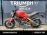 Ducati Monster 797 (2017 - 18) (11)