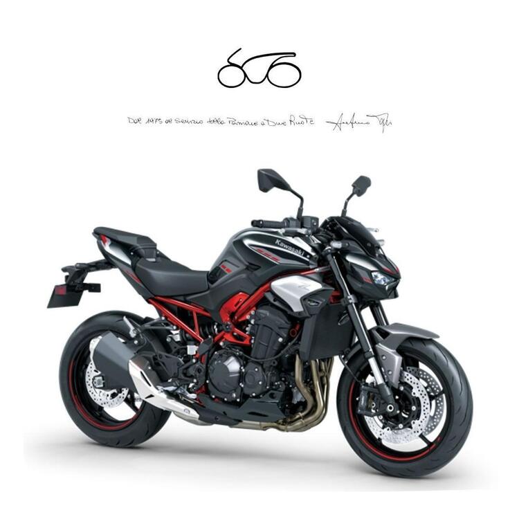 Kawasaki Z 900 (2021 - 24)