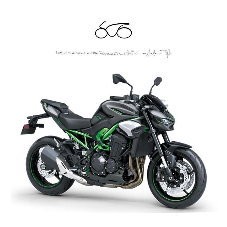 Kawasaki Z 900 (2021 - 24)