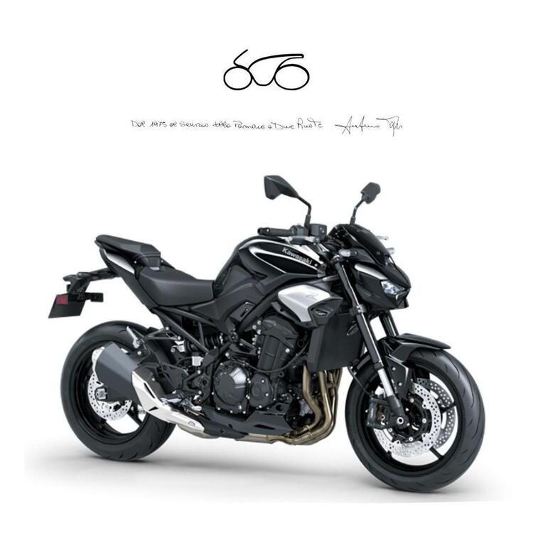 Kawasaki Z 900 (2021 - 24)