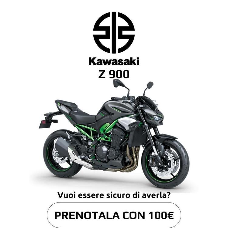 Kawasaki Z 900 (2021 - 24) (2)