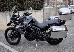 Triumph Tiger 800 XCa (2015 - 17) usata