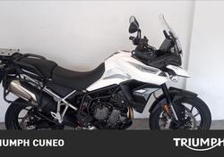 Triumph Tiger 900 GT Pro (2020 - 23) usata