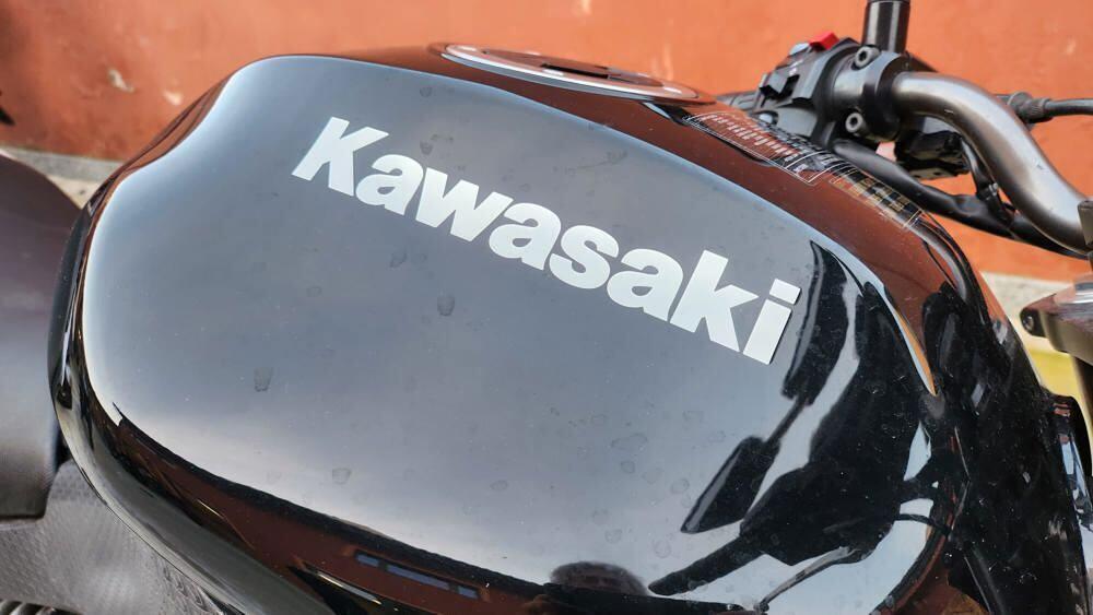 Kawasaki ER-6N (2006 - 09) (4)