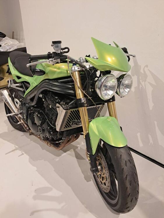 Triumph Speed Triple 1050 (2005 - 11) (4)