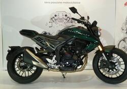 Swm Gran Milano 500 (2023 - 24) nuova