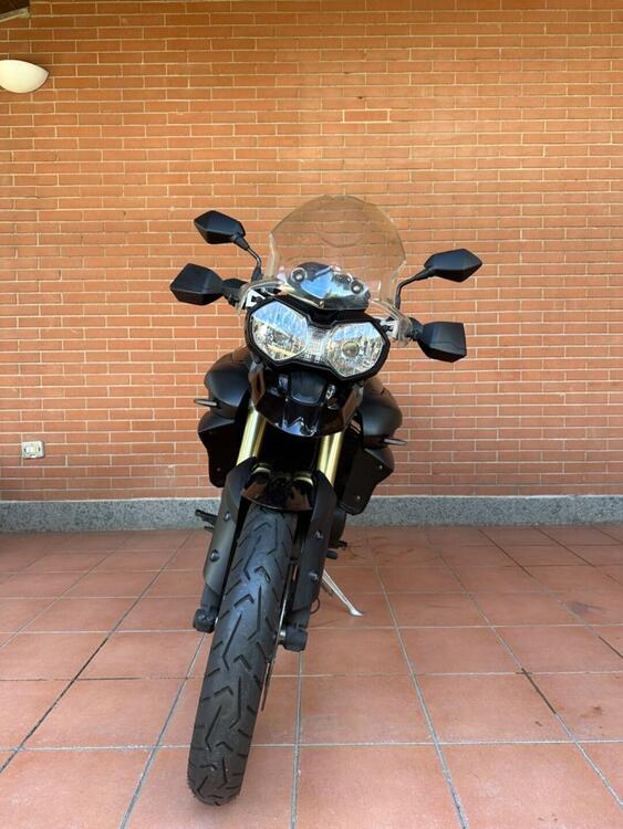 Triumph Tiger 800 ABS (2010 - 14) (2)