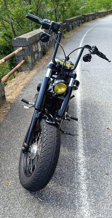 Harley-Davidson 1200 Forty-Eight (2010 - 15) (3)