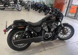 Harley-Davidson Nightster Special (2023 - 24) usata