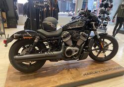 Harley-Davidson Nightster (2023 - 24) usata