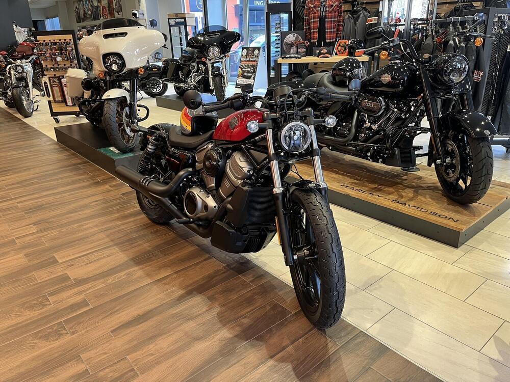 Harley-Davidson Nightster (2023 - 24) (5)