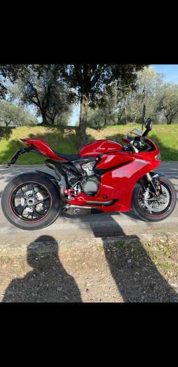 Ducati 1299 Panigale (2015 - 17) (4)