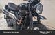 Triumph Scrambler 900 Stealth Edition (2024) (11)