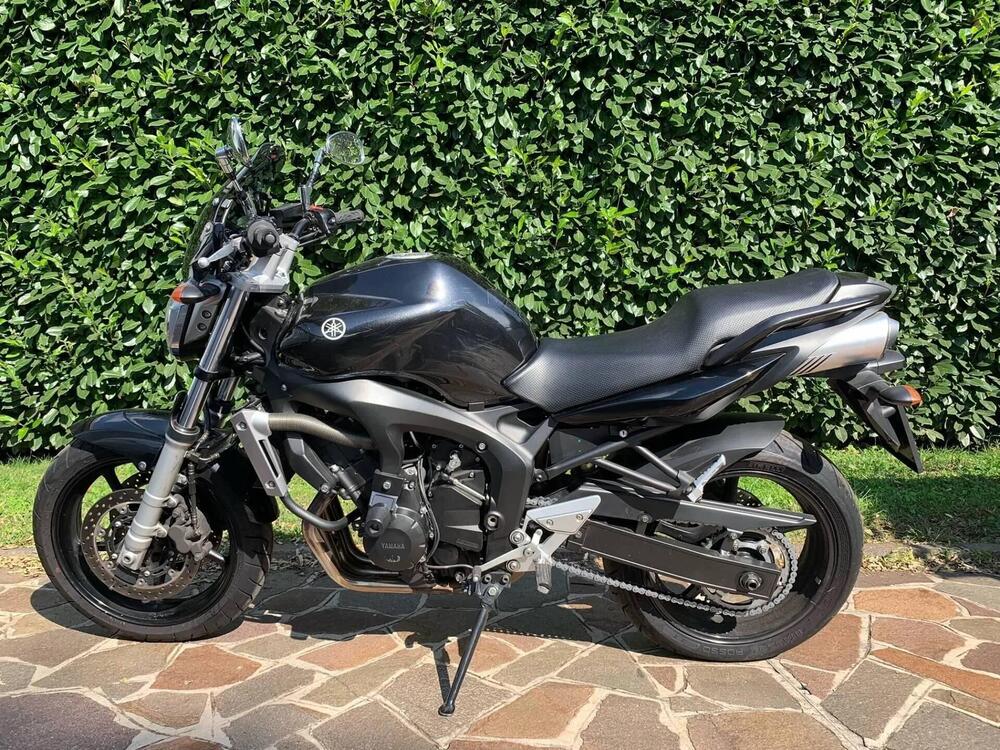 Yamaha FZ6 (2004 - 07) (2)