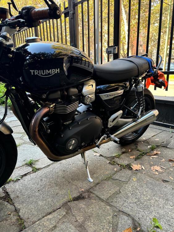 Triumph Speed Twin 1200 (2019 - 20) (4)